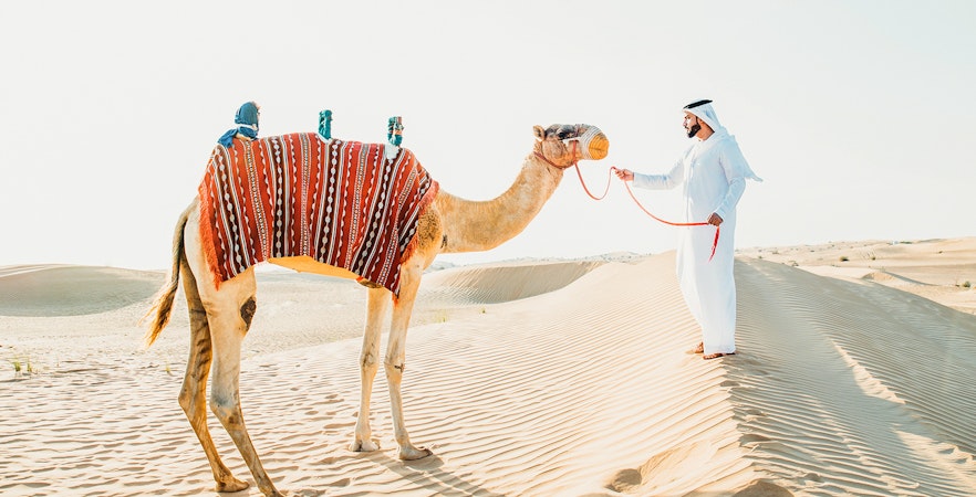 Rezerwat przyrody na pustyni w Dubaju