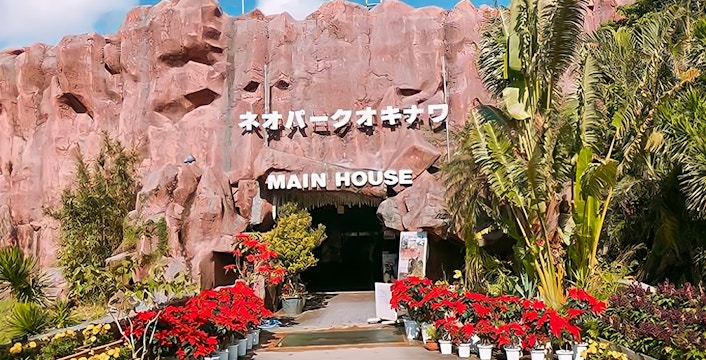 Neo Park Okinawa Tickets