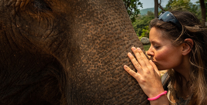 Elephant Sanctuary Wildlife Interaction