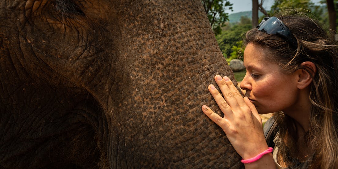 Elephant Sanctuary Wildlife Interaction