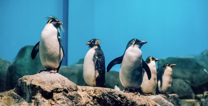 Langkawi Underwater World