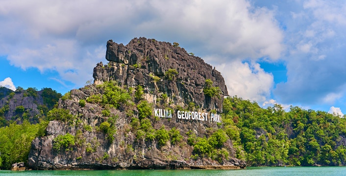 Langkawi Mangrove Tours