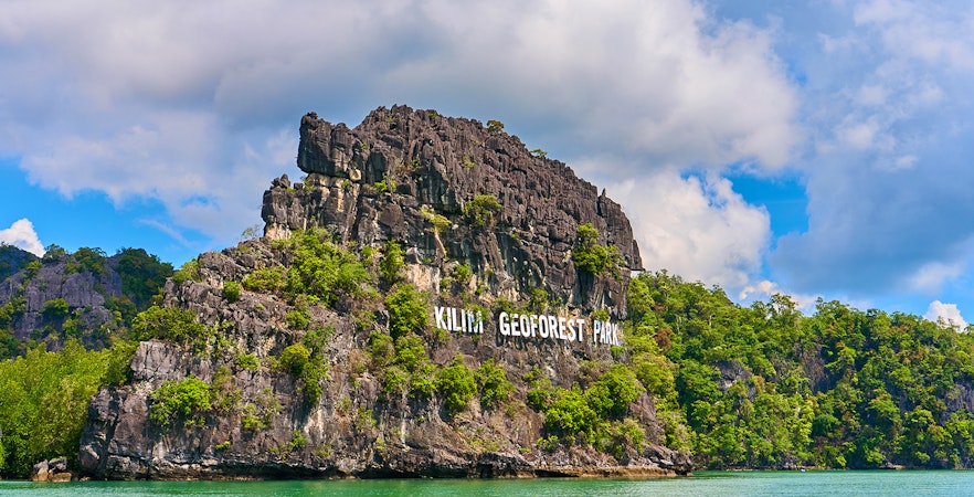 Langkawi Mangrove Tur
