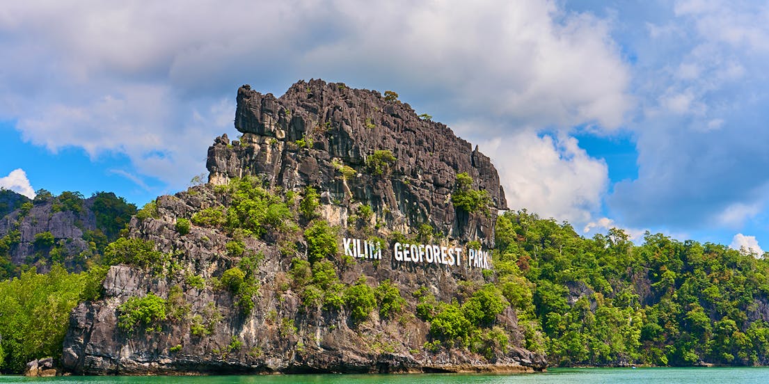 Langkawi Mangrove