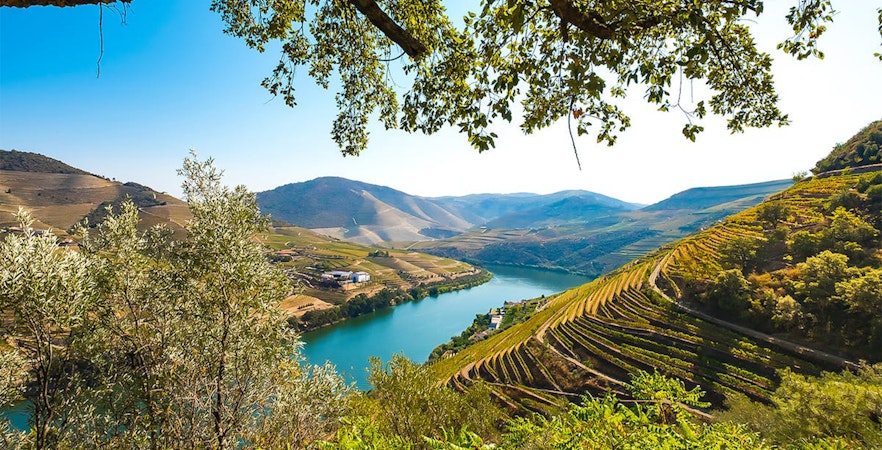 Book Douro Valley Tours & Tickets