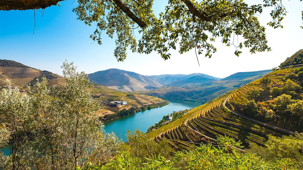 Douro Valley Tours Porto