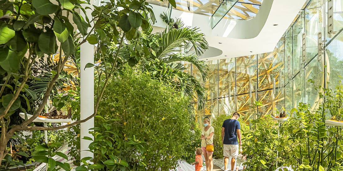 Al Noor Island Tickets