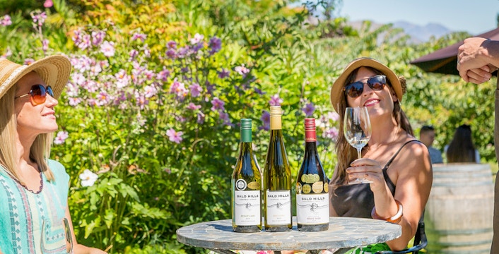 Wine Tours from Queenstown