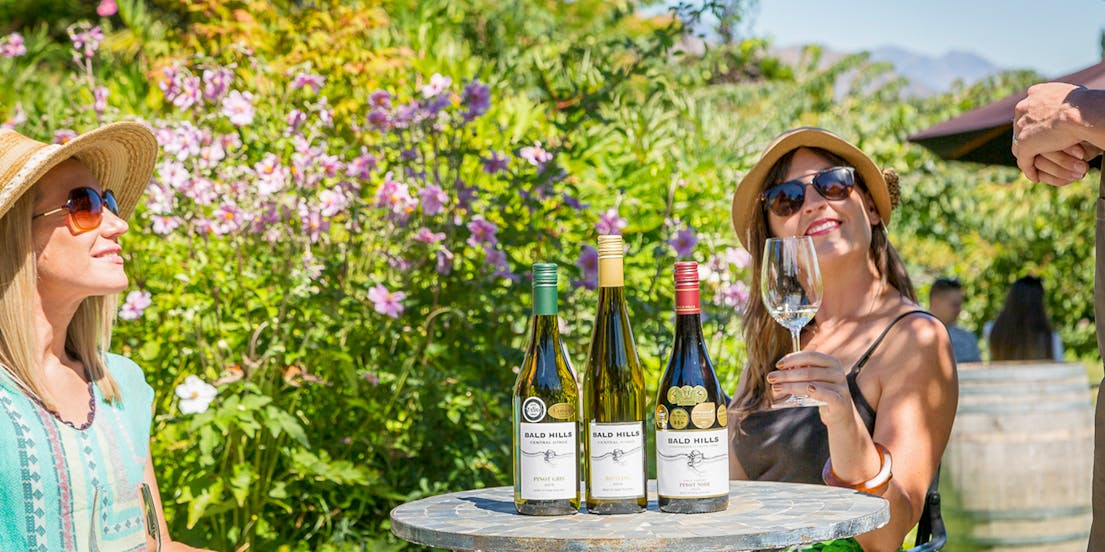 Wine Tours from Queenstown