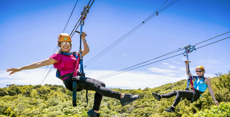 Zipline Waiheke
