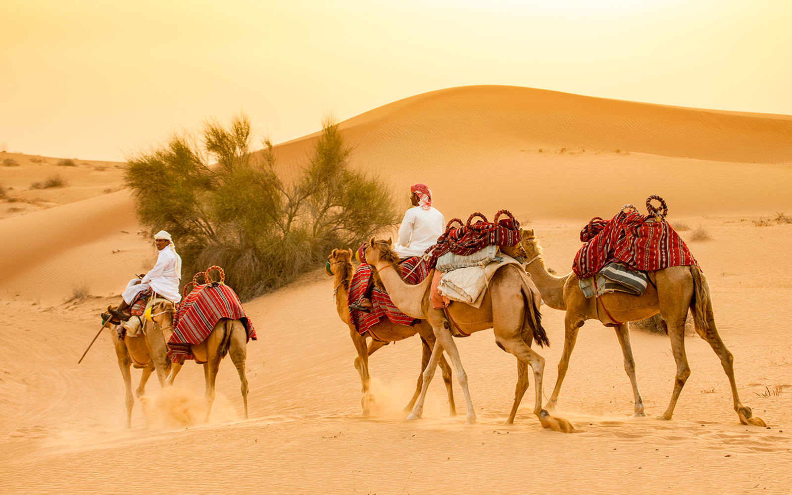 What To Wear For Dubai Desert Safari- Desert Safari Packing