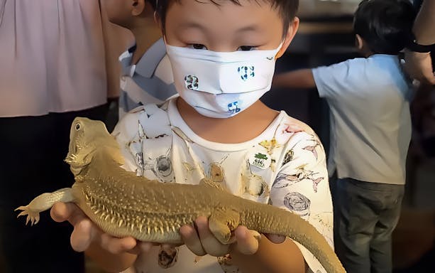 Child holding a lizard at G2G Animal Garden.
