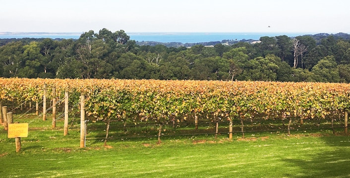 Mornington Peninsula Tours