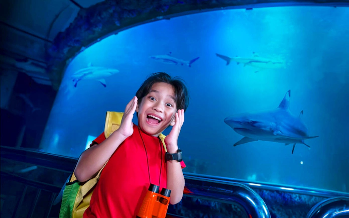 Young child excitedly watching sharks at Sea World Ancol aquarium.