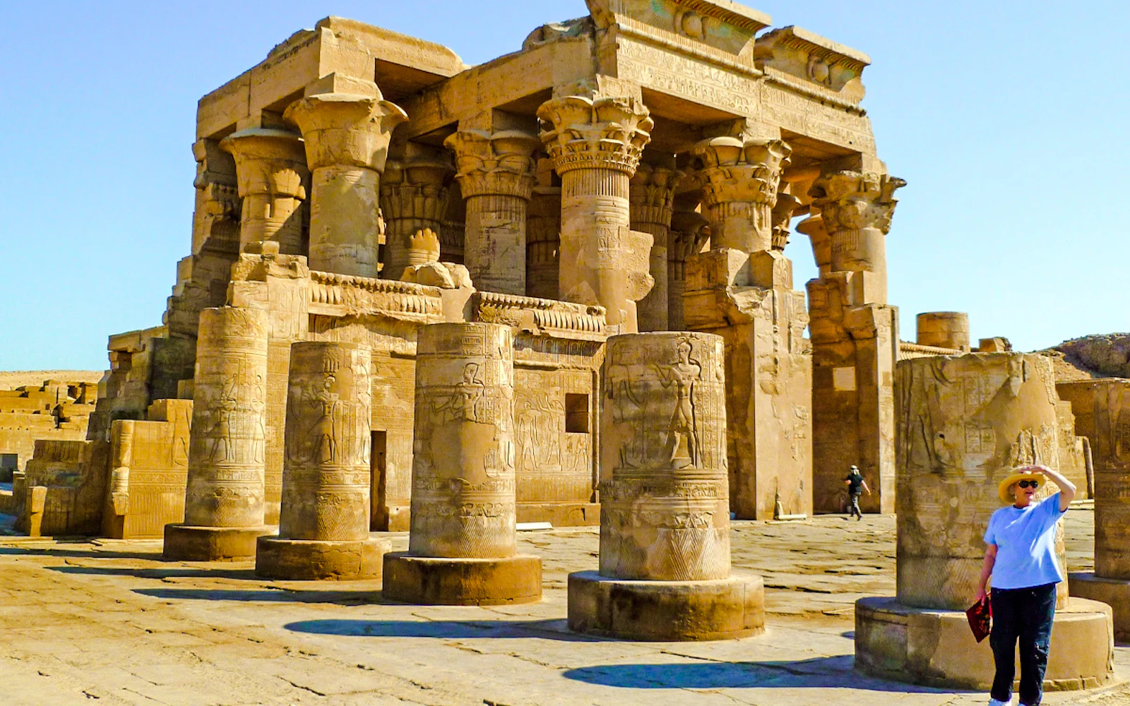 From Aswan: Private Guided Day Trip to Kom Ombo and Edfu Temples