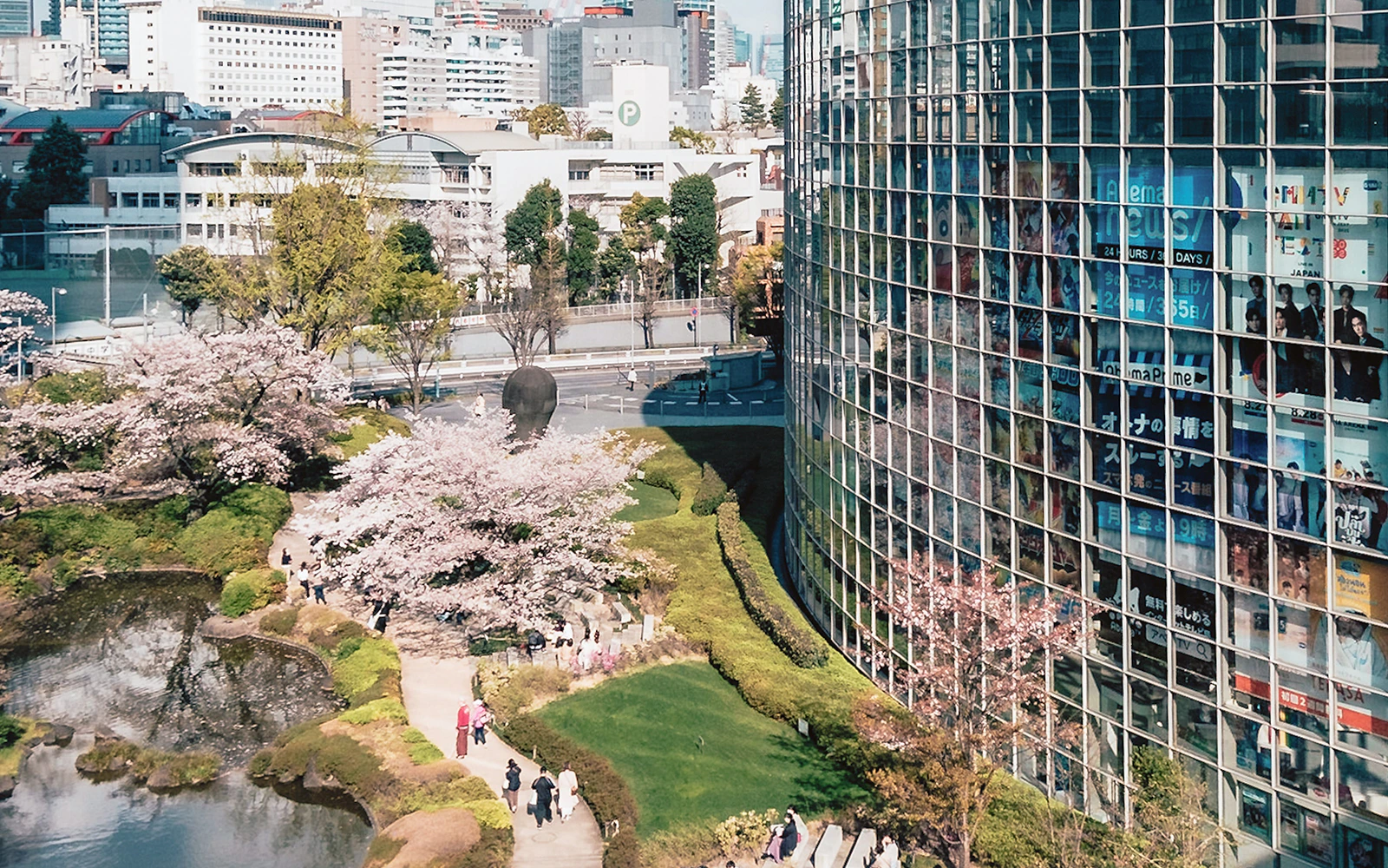 Mohri Garden with cherry blossoms and modern buildings in Roppongi Hills, Tokyo.