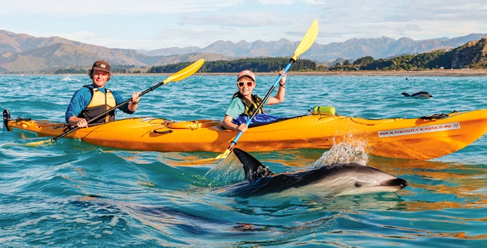 Kayaking tours at Kaikoura