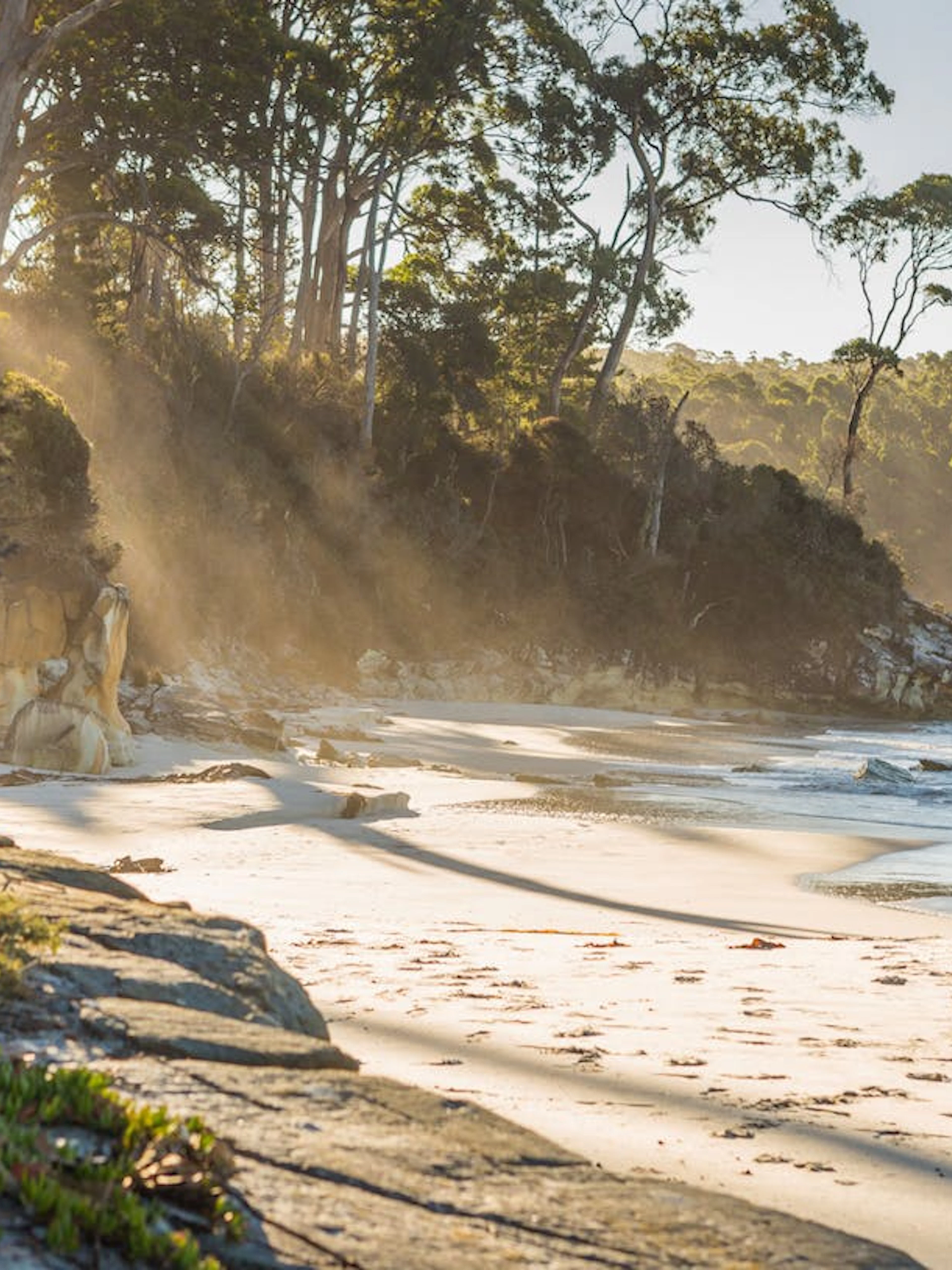 from hobart: bruny island & port arthur historic site 2-day guided combo tour-1