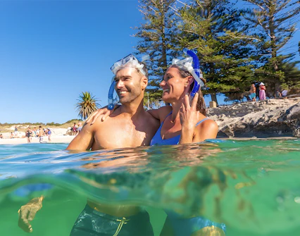 Couple snorkeling near Rottnest Island beach with clear water and trees in the background.