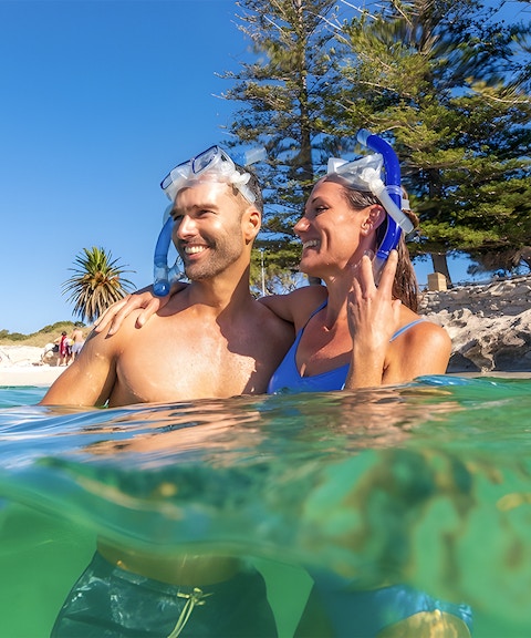 Couple snorkeling near Rottnest Island beach with clear water and trees in the background.