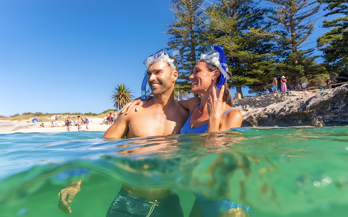 Couple snorkeling near Rottnest Island beach with clear water and trees in the background.