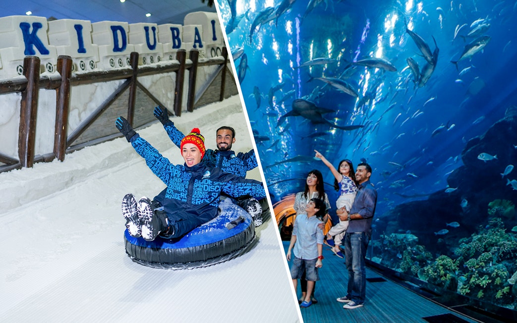 People enjoying snow tubing at Ski Dubai and viewing marine life at Dubai Aquarium.