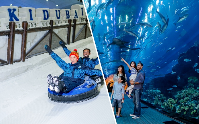 People enjoying snow tubing at Ski Dubai and viewing marine life at Dubai Aquarium.