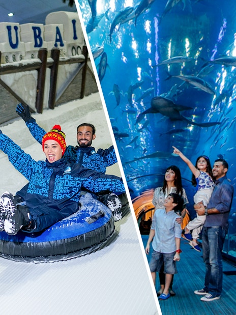 People enjoying snow tubing at Ski Dubai and viewing marine life at Dubai Aquarium.