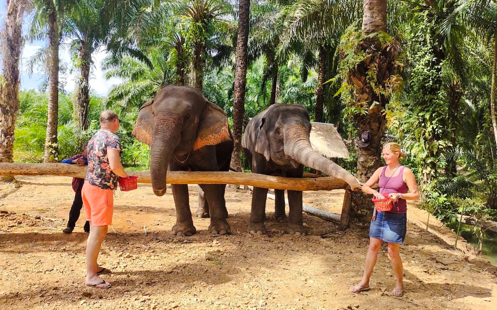 Krabi Elephant Shelter Bathing and Feeding with Khao Thong Hill Visit and Hotel Transfers