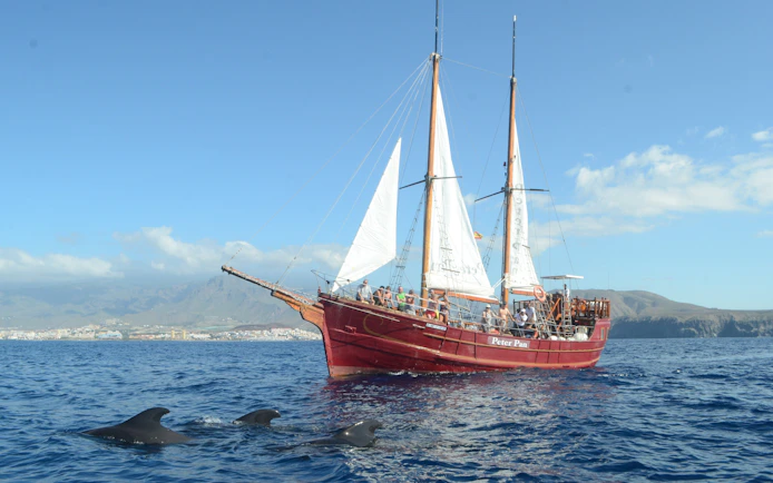 Peter Pan pirate boat with tourists watching dolphins in Tenerife waters.