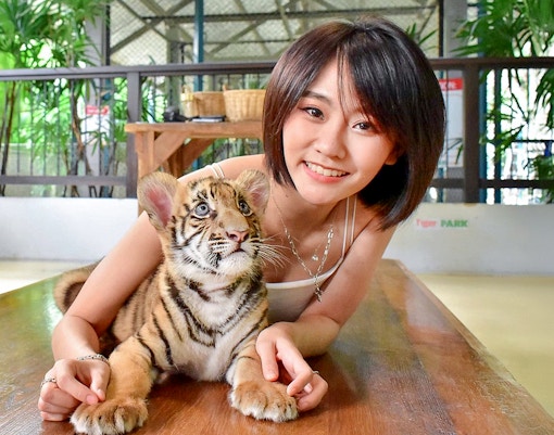 Tiger Park Phuket Tickets