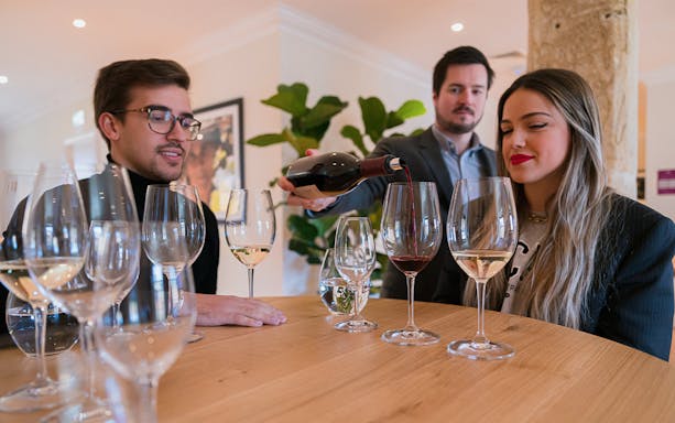 Wine tasting session at The Wine School workshop, with participants sampling red and white wines.