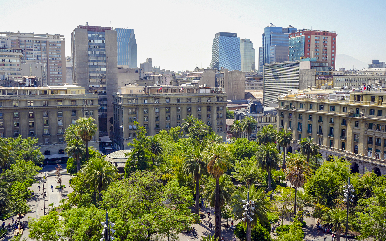 View of Santiago cityscape with palm trees and historic buildings from the Cathedral Bell Tower.