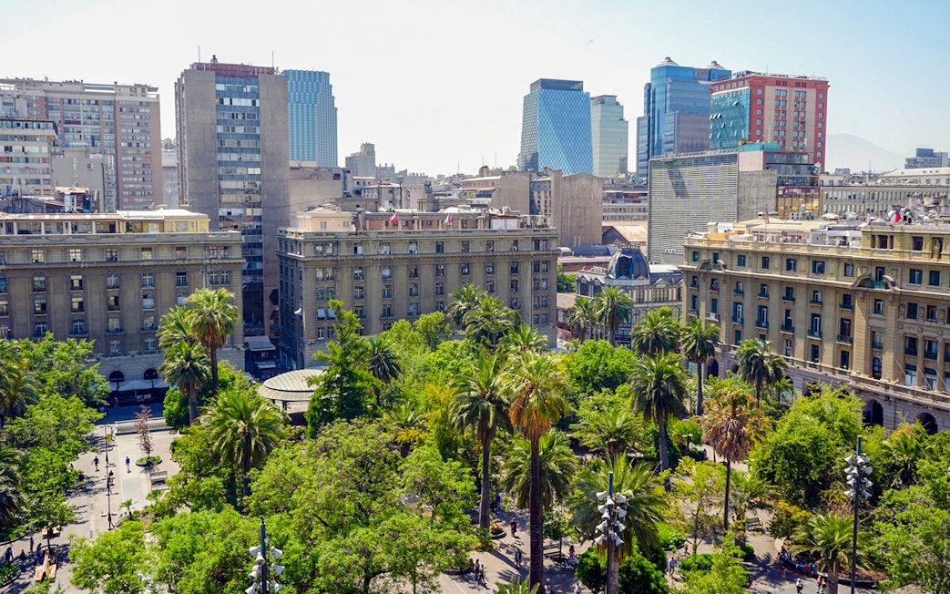View of Santiago cityscape with palm trees and historic buildings from the Cathedral Bell Tower.