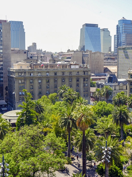 View of Santiago cityscape with palm trees and historic buildings from the Cathedral Bell Tower.
