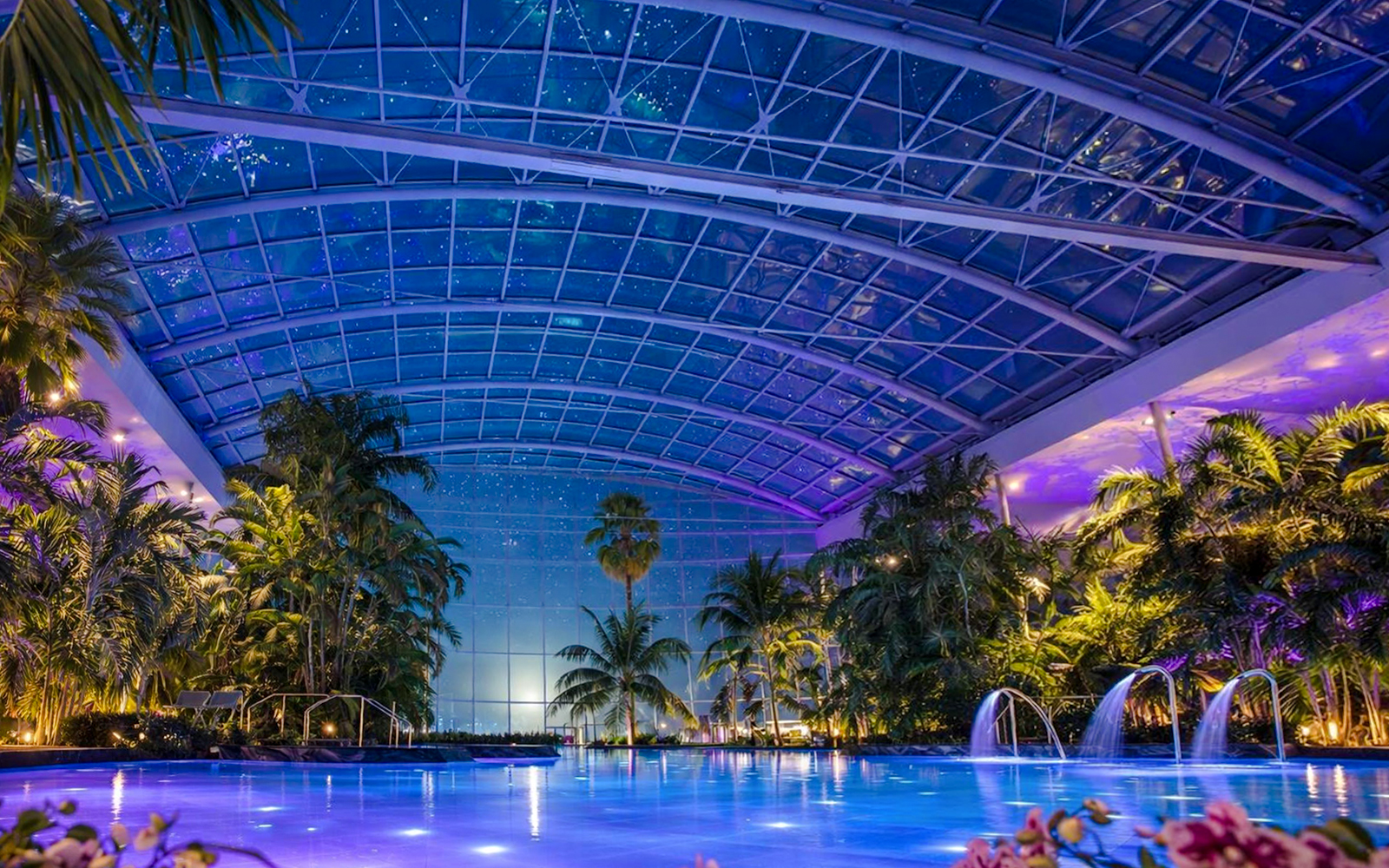 Therme Bucharest indoor pool at night with illuminated palm trees and glass ceiling.