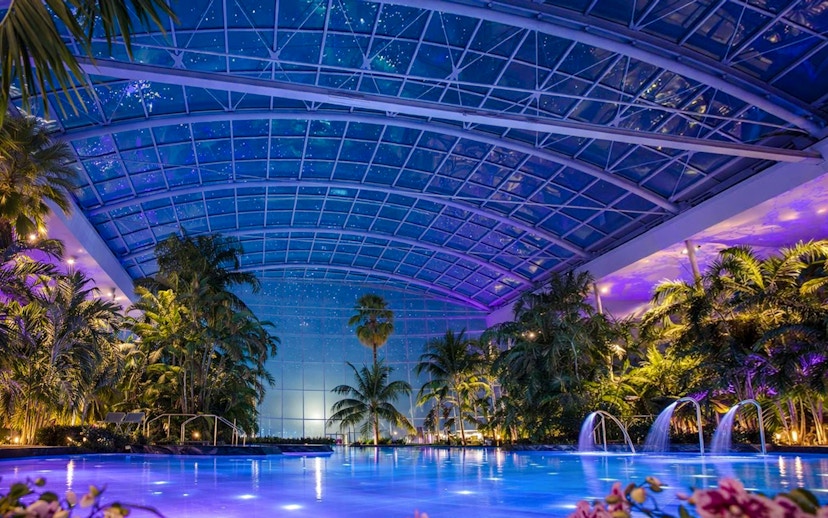 Therme Bucharest indoor pool at night with illuminated palm trees and glass ceiling.
