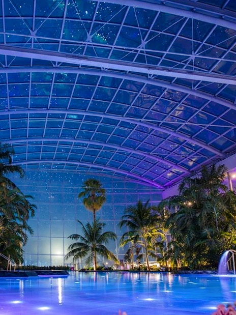 Therme Bucharest indoor pool at night with illuminated palm trees and glass ceiling.