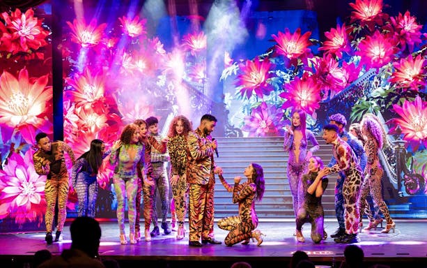 Performers in vibrant costumes on stage at Paris Paradis show.