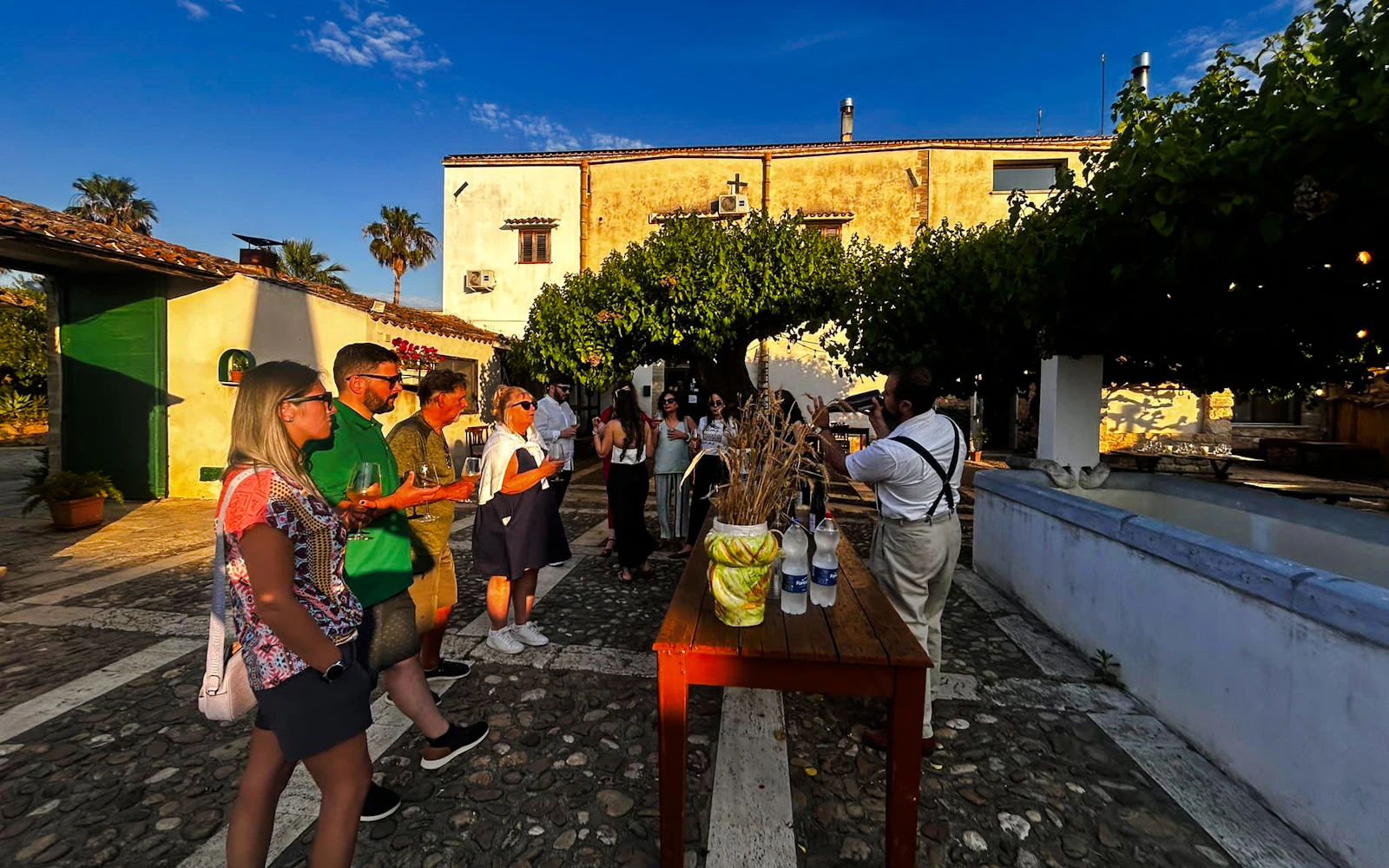 Alcamo: Chiarelli Rossotti Organic Winery Tour with Wine Tasting & Sicilian Food Pairing