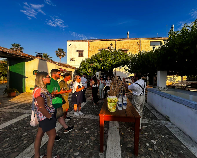 Alcamo: Chiarelli Rossotti Organic Winery Tour with Wine Tasting & Sicilian Food Pairing