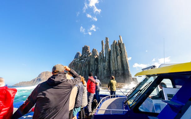 People on a boat viewing Cape Raoul cliffs during a cruise.