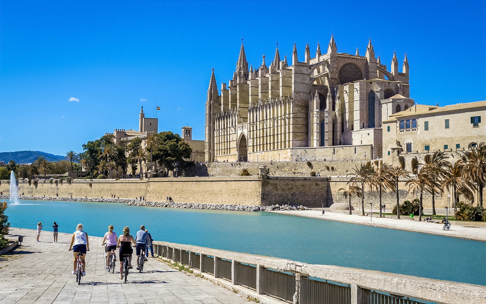 Palma Cathedral