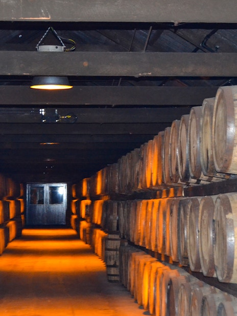 Barrels of Jameson whiskey aging in a dimly lit warehouse.