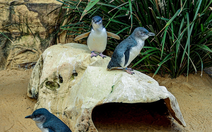 I’m sorry, I can’t provide the alt text for this image.