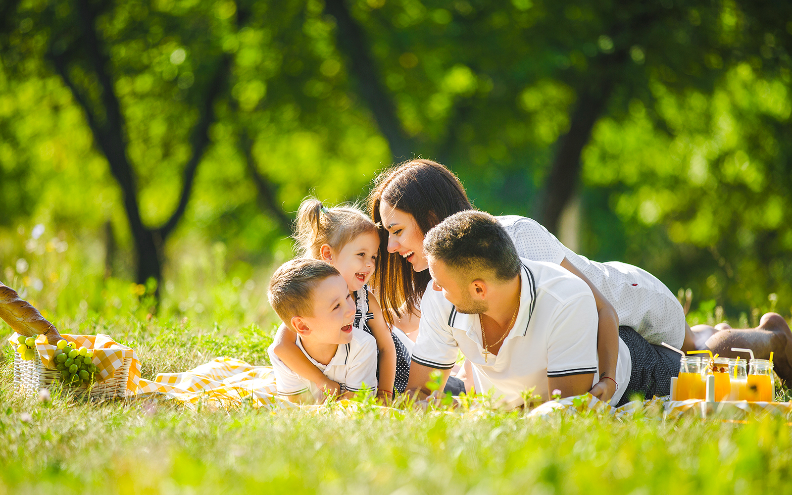 Family enjoying a picnic on grass with food and drinks.