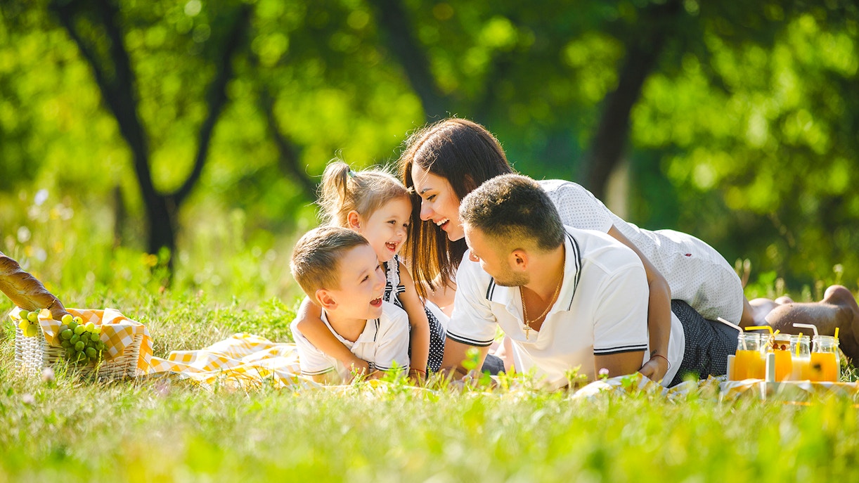 Visitor Tips Efteling