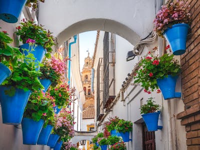 Alcazar Cordoba Guide