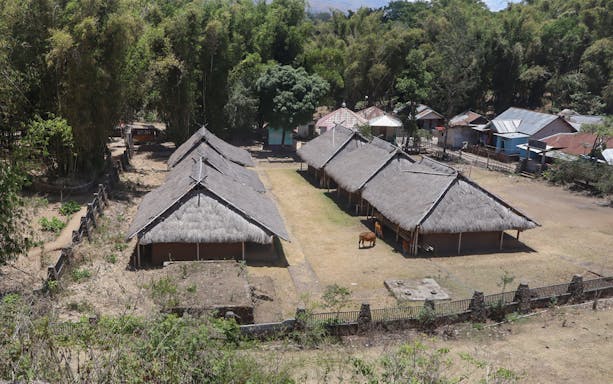 Traditional huts in Senaru Sasak village surrounded by trees and open space.