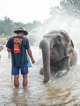 Elephant bathing with a guide at Elephant Jungle Sanctuary, Chiang Mai.